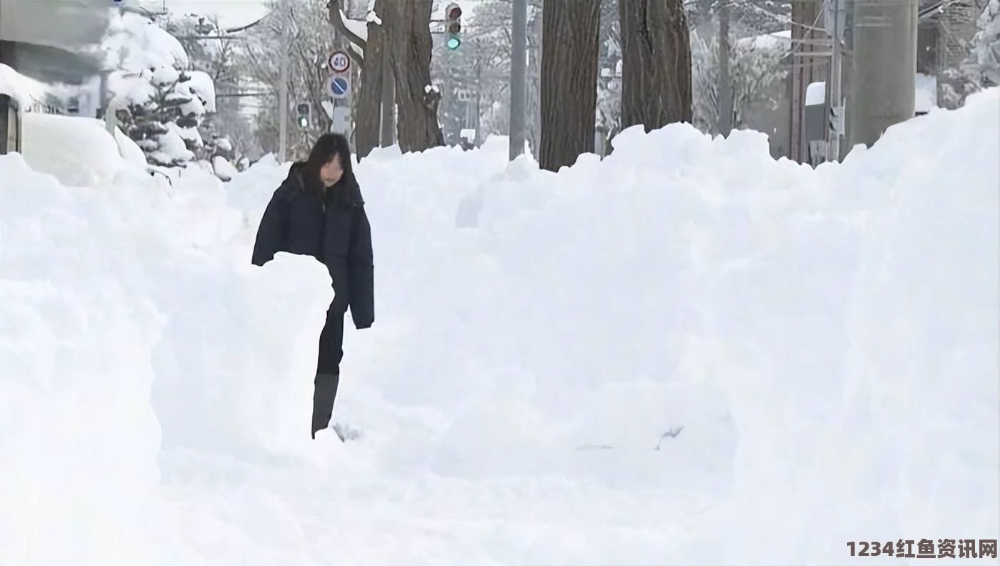 东京遭遇暴风雪袭击，极端天气造成严重影响