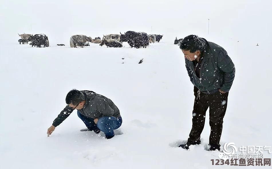 日本关东地区遭遇罕见大雪，积雪深度达惊人21厘米——安全出行提醒与应对之策附图