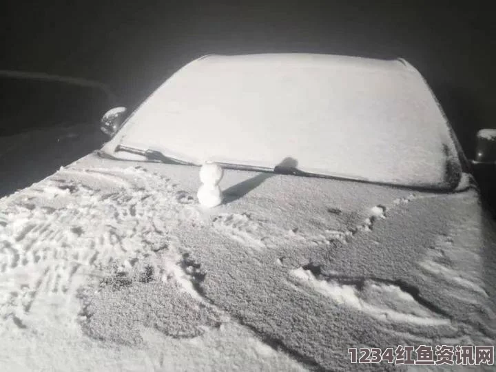 日本关东地区遭遇罕见大雪，积雪深度达惊人21厘米——安全出行提醒与应对之策附图