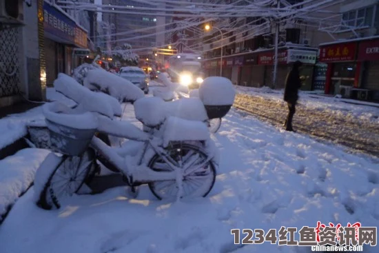 日本关东地区遭遇罕见大雪，积雪深度达惊人21厘米——安全出行提醒与应对之策附图