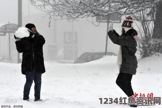 日本大雪下的街头时尚与应对灾难的挑战