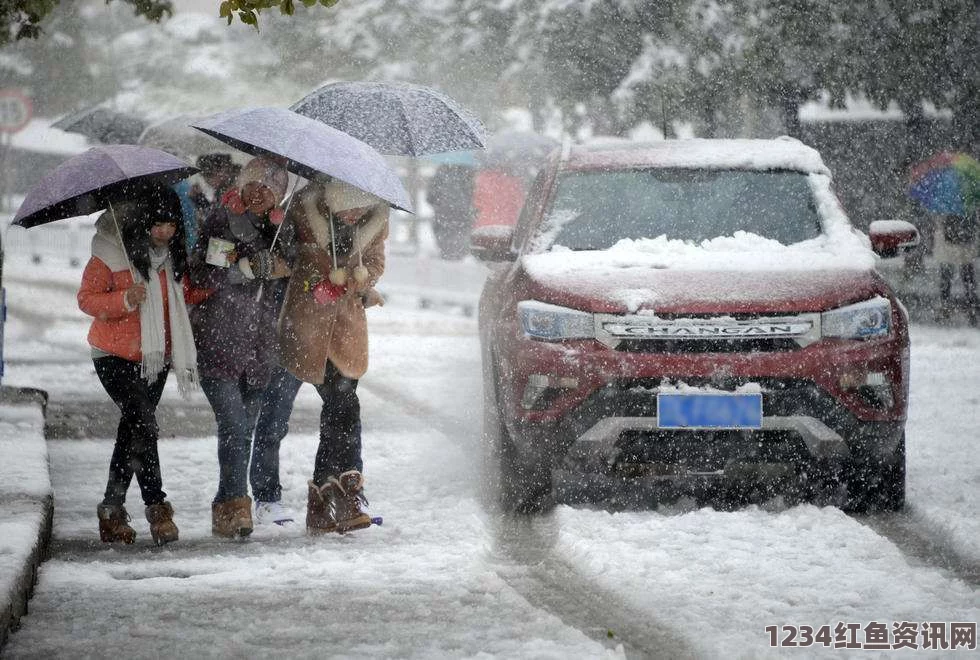 日本大雪天气下的街头时尚与灾难应对挑战