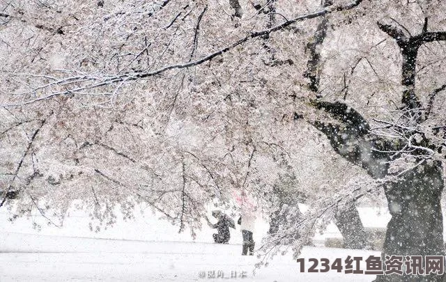 日本关东甲信地区遭遇罕见强降雪灾害，造成重大人员伤亡和财产损失