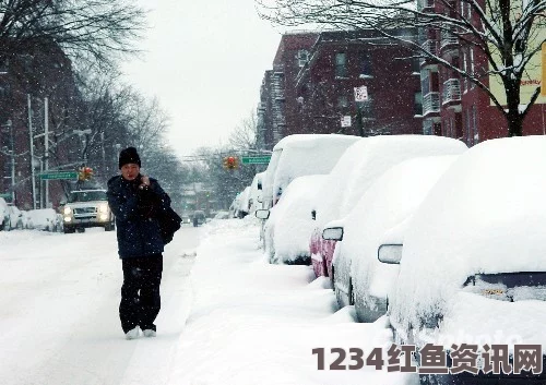 冻雨暴雪袭击北美洲东北部，美加超五十万户遭遇断电危机