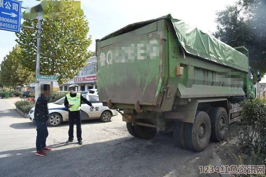 中非示威民众道路设路障，试图阻挡法军进驻行动分析（图）