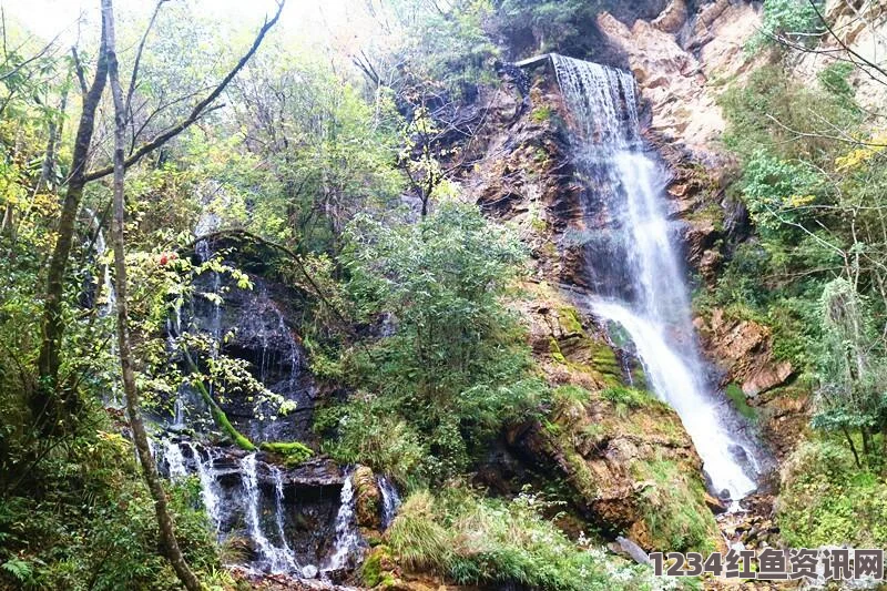 欧洲火山脊惊现世纪罕见珍稀兰花踪迹，附美图揭秘自然奇观