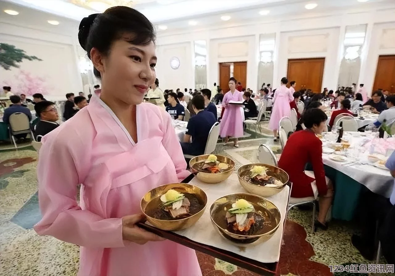 韩国无人战术飞船试飞漏气坠落事故，监视朝鲜任务遭遇重大挫折