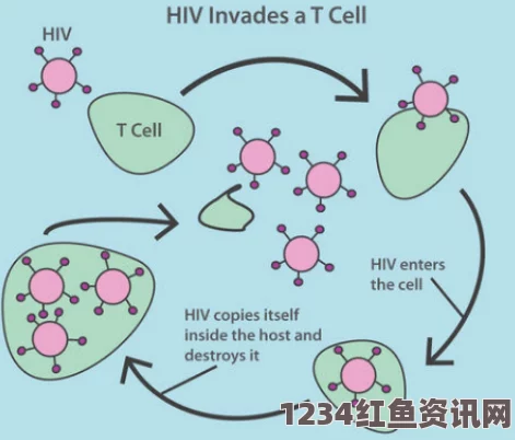 美国研究揭示，营养补充剂有效抑制艾滋病毒复制，开启防治新篇章