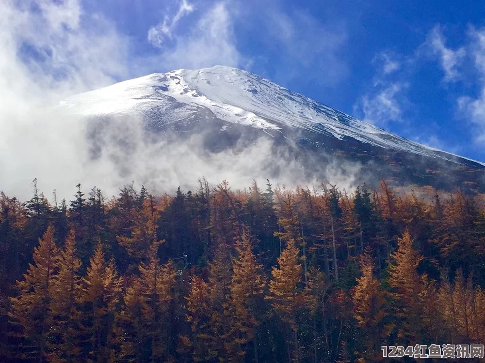 富士山自杀丛林悲剧背后的故事与反思