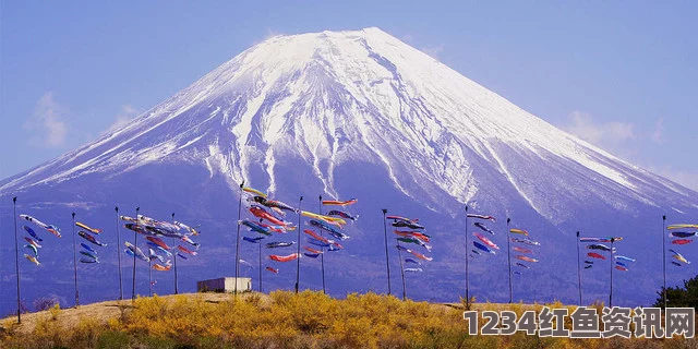 富士山惊现自杀丛林，悲剧背后的故事与反思