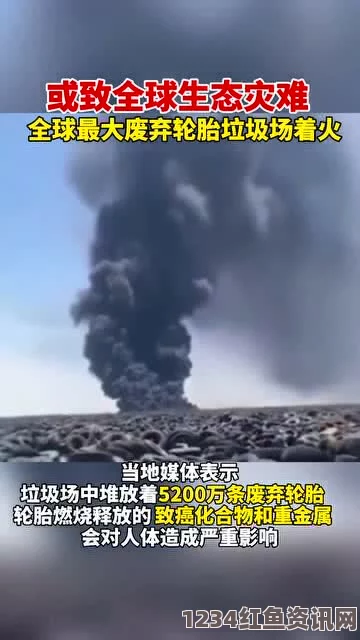 全球动物群死事件频发，探寻死因之谜，专家呼吁关注生态安全